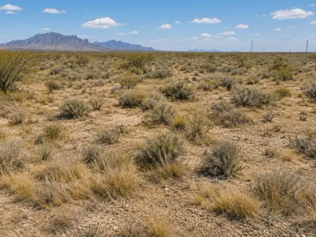 Half-Acre Lot on Alma St SE, Deming Ranchettes, NM in Luna County, NM