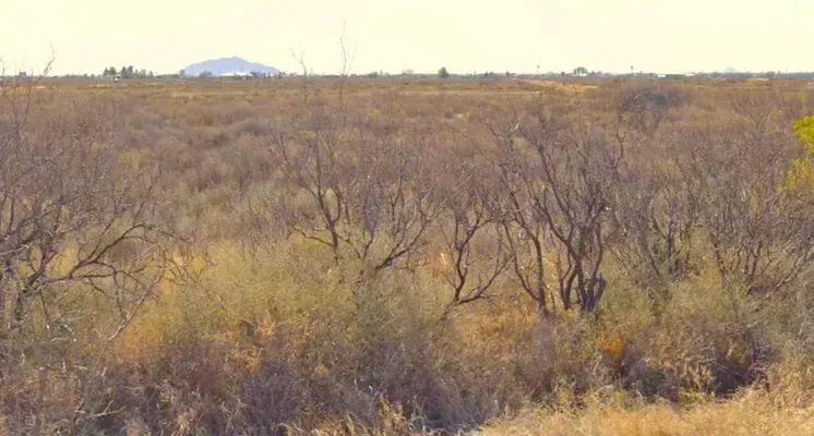 Decorative background for Half-Acre Lot on Alma St SE, Deming Ranchettes, NM image 9