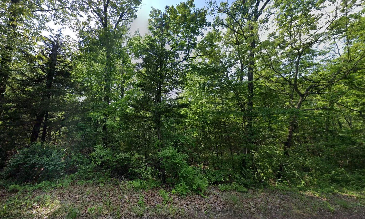 0.22 Acres in Izard County in Izard County, AR
