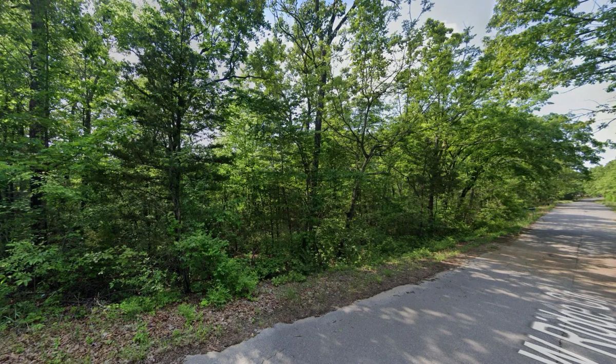 0.22 Acres in Izard County - Image 2