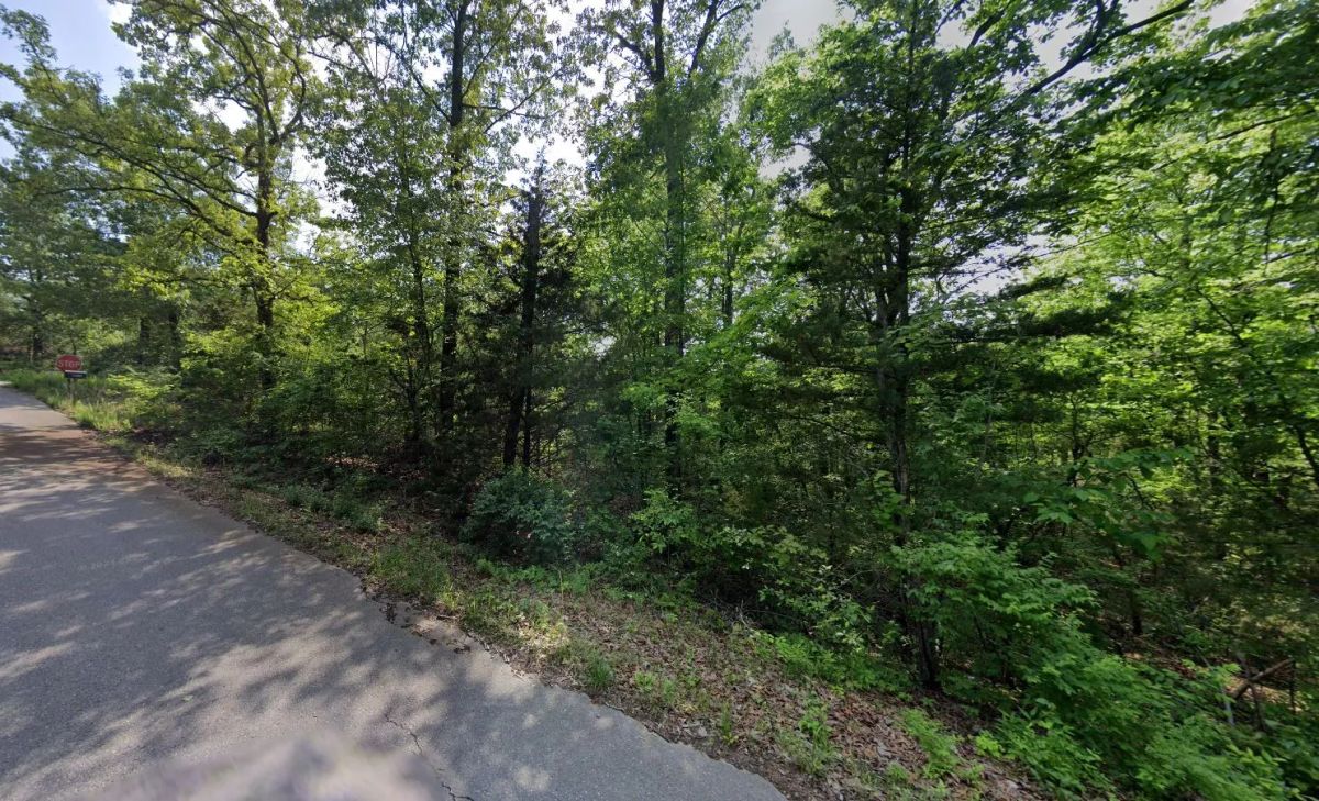 0.22 Acres in Izard County - Image 3