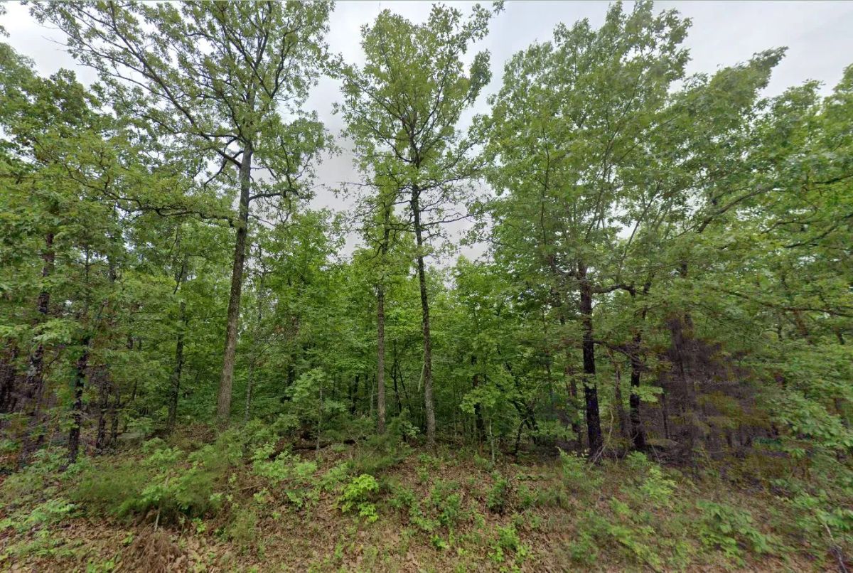 0.30 Acres in Izard County - Main image