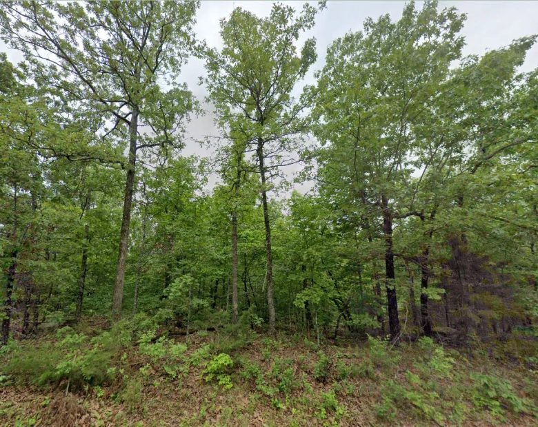 0.30 Acres in Izard County in Izard County, AR
