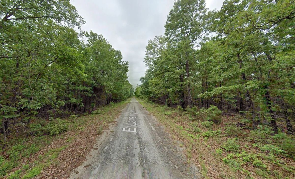 0.30 Acres in Izard County - Image 2