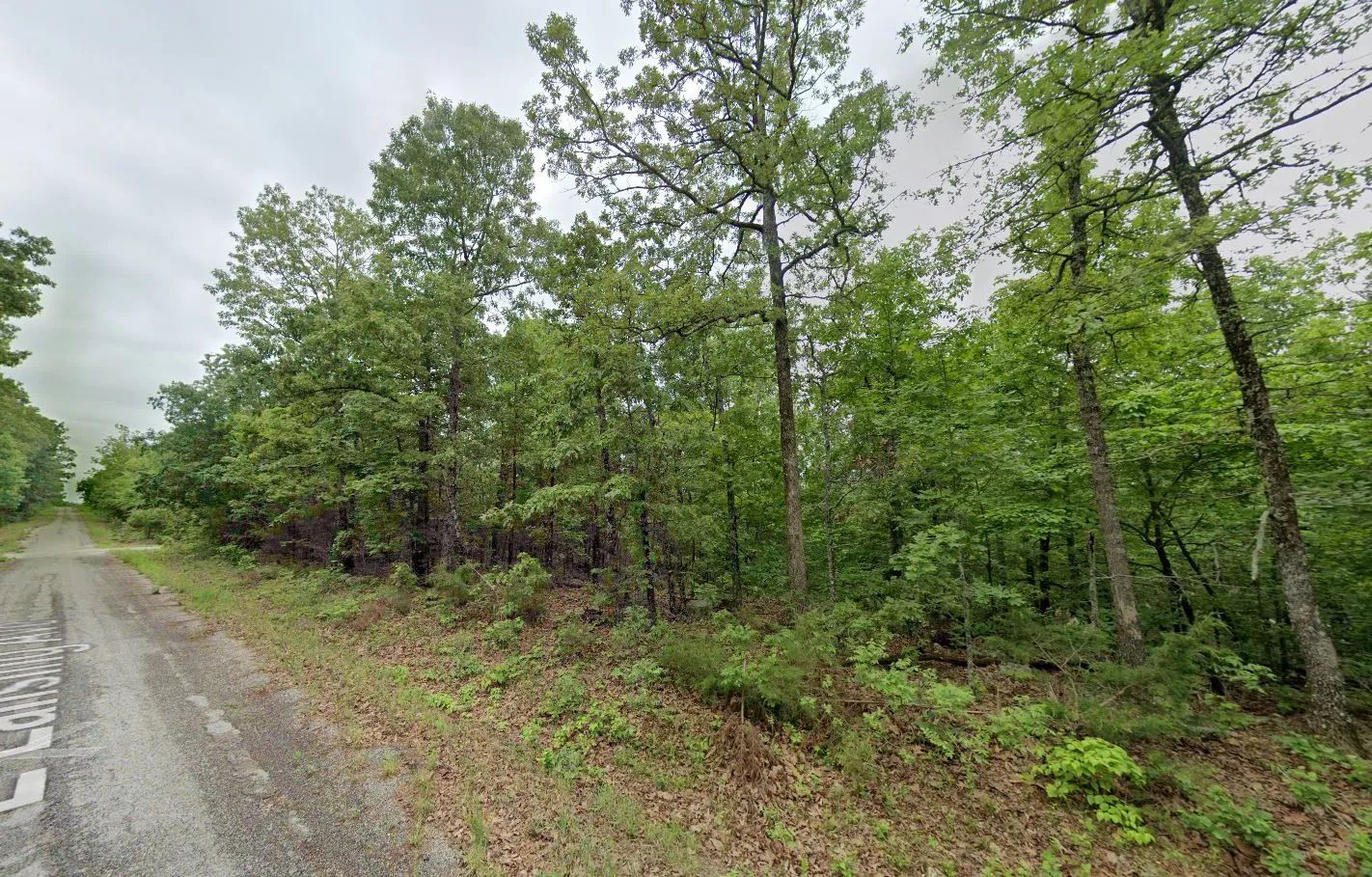 0.30  Acres in Izard County in Izard County, AR