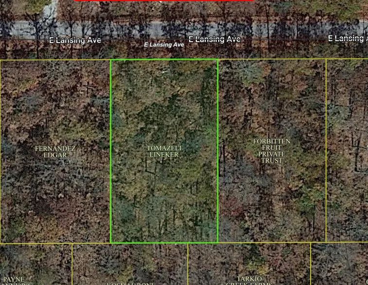 Decorative background for 0.30 Acres in Izard County image 15