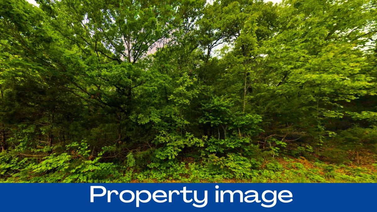 0.37 Acres in Izard County - Main image