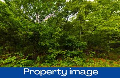 0.37 Acres in Izard County