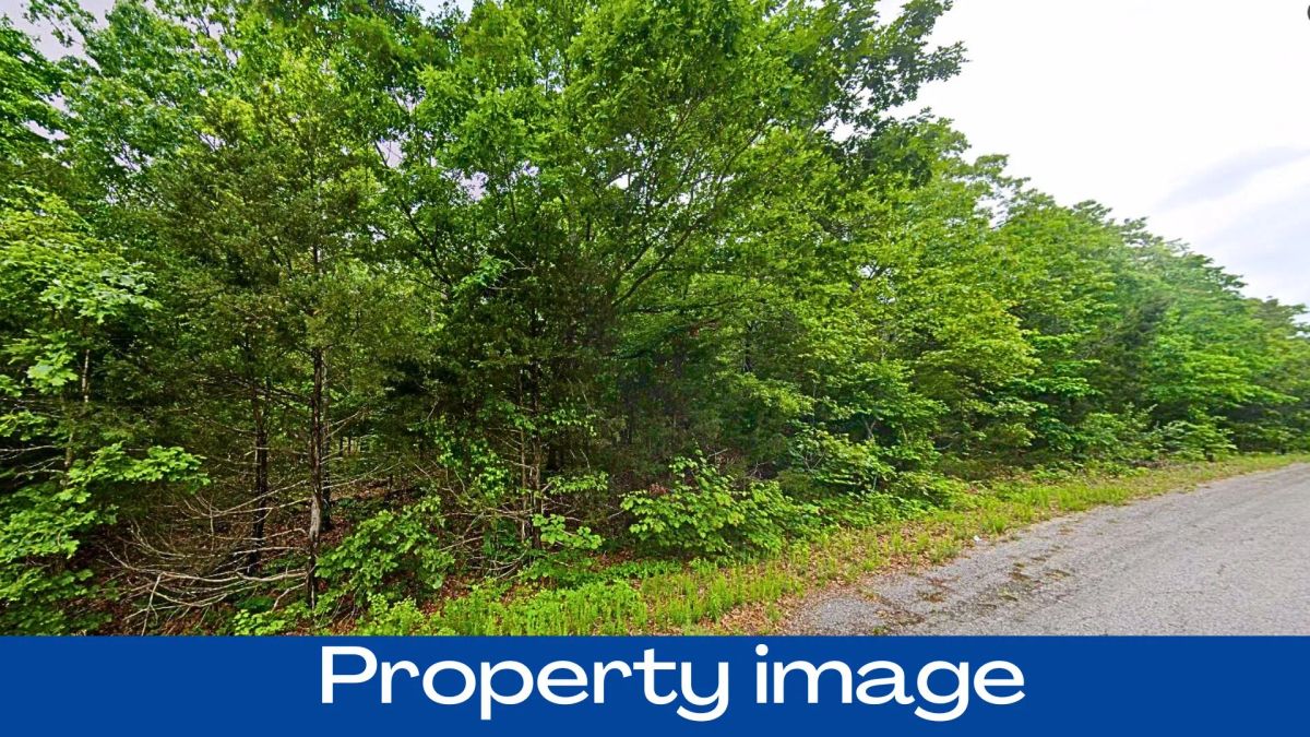 0.37 Acres in Izard County - Image 2