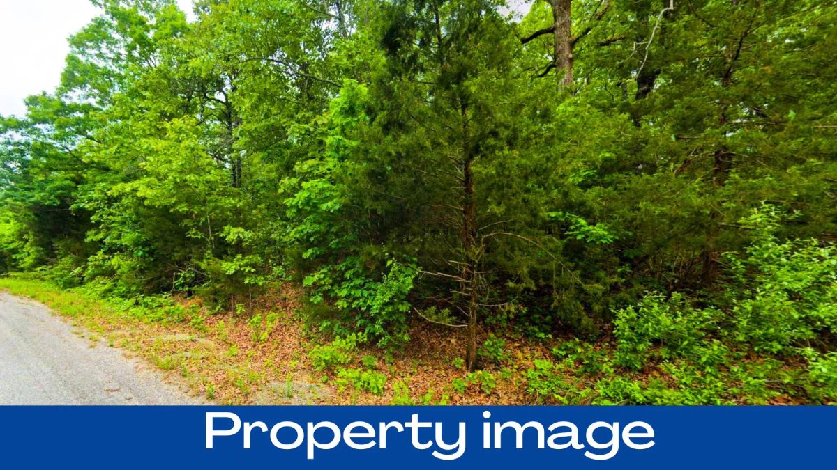 0.37 Acres in Izard County - Image 3