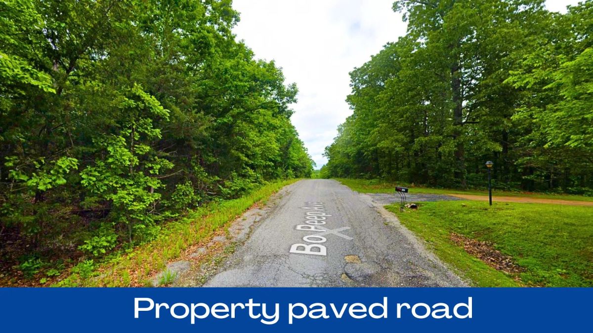 0.37 Acres in Izard County - Image 4