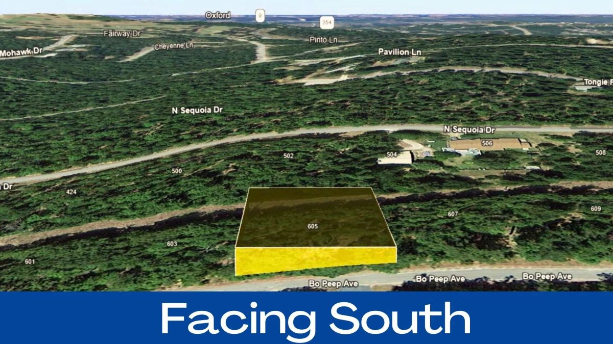 Decorative background for 0.37 Acres in Izard County image 8
