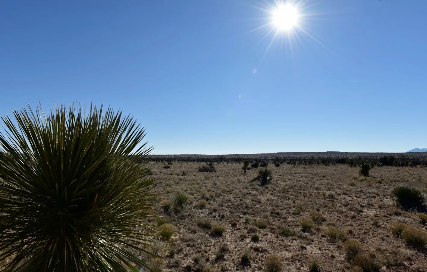 20 acres of unrestricted land and mountain views in Hudspeth County, TX