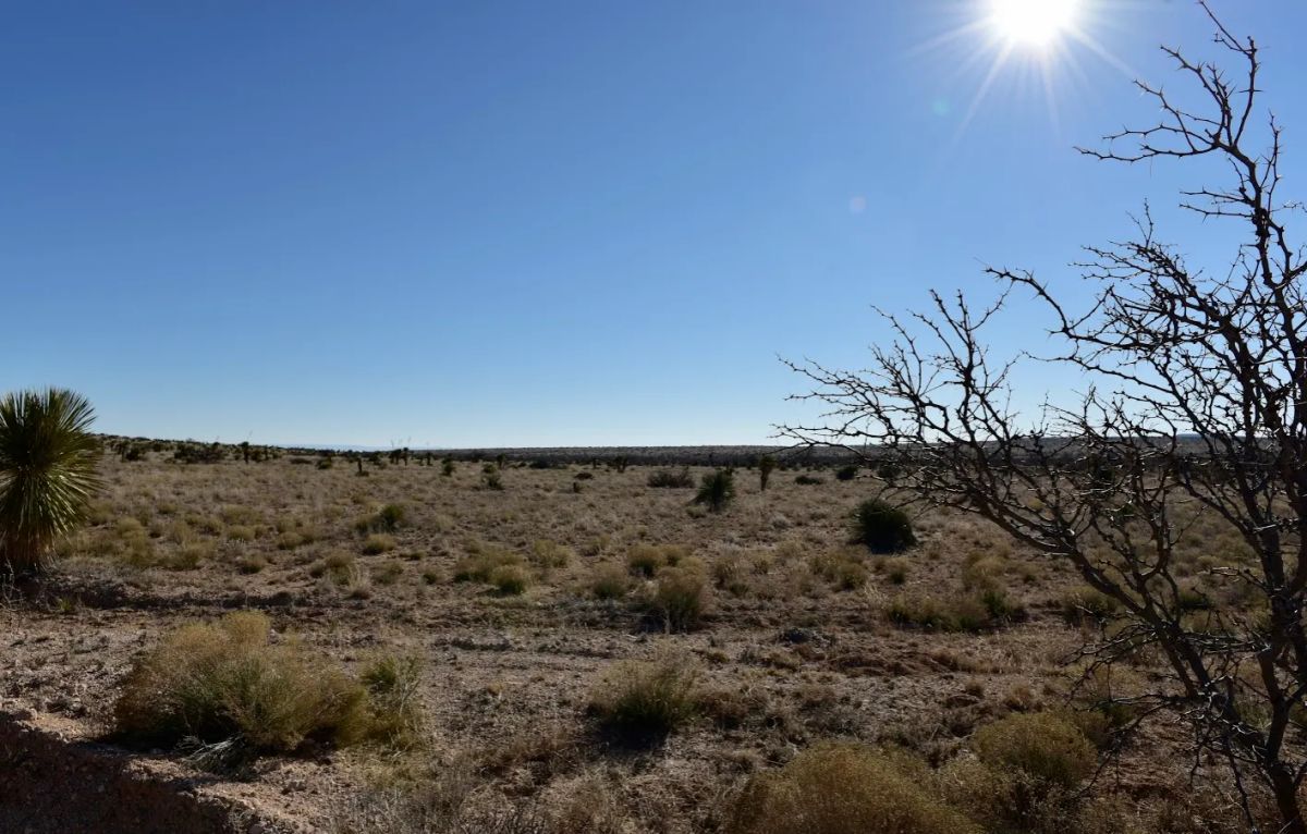 20 acres of unrestricted land and mountain views - Image 4