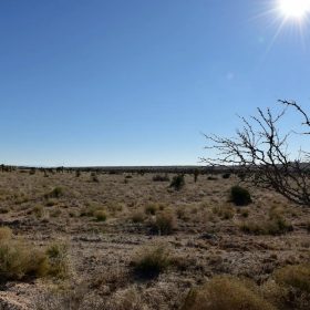 20 acres of unrestricted land and mountain views in Hudspeth County, TX