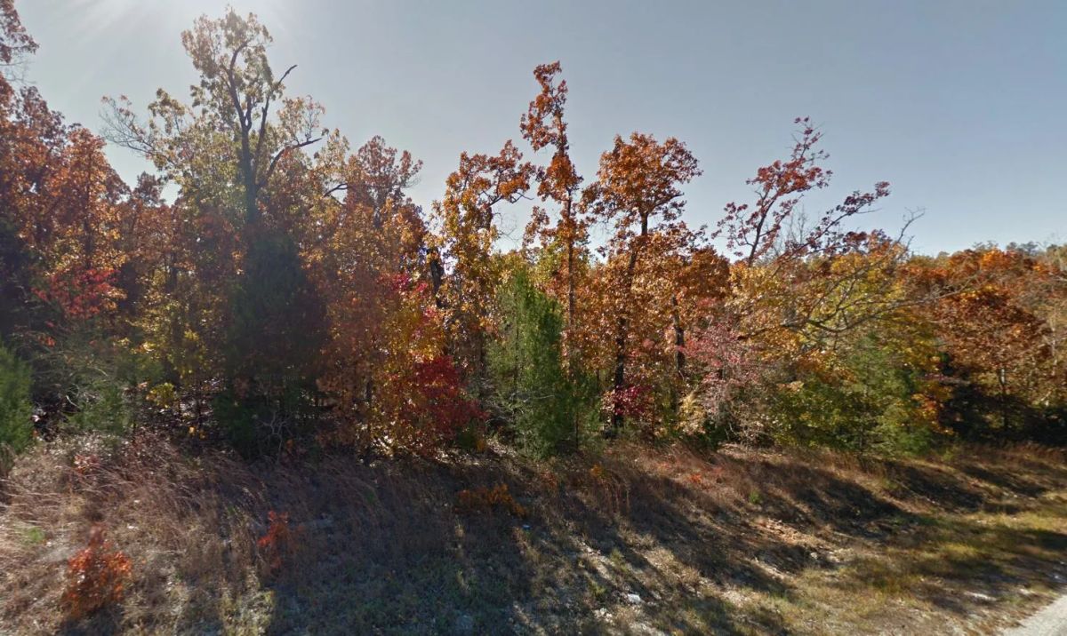Decorative background for 0.38 Acres image 10