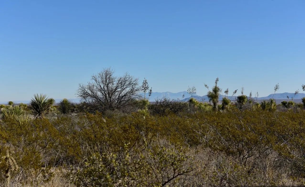 20 acres of unrestricted land  and mountain views