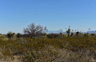 20 acres of unrestricted land and mountain views