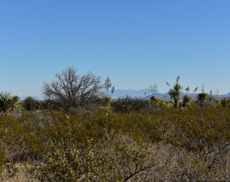 20 acres of unrestricted land and mountain views in Hudspeth County, TX