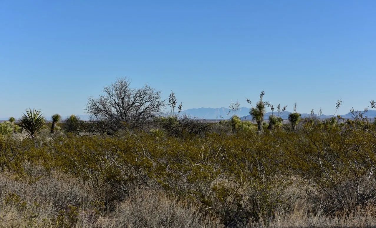 20 acres of unrestricted land  and mountain views in Hudspeth County, TX