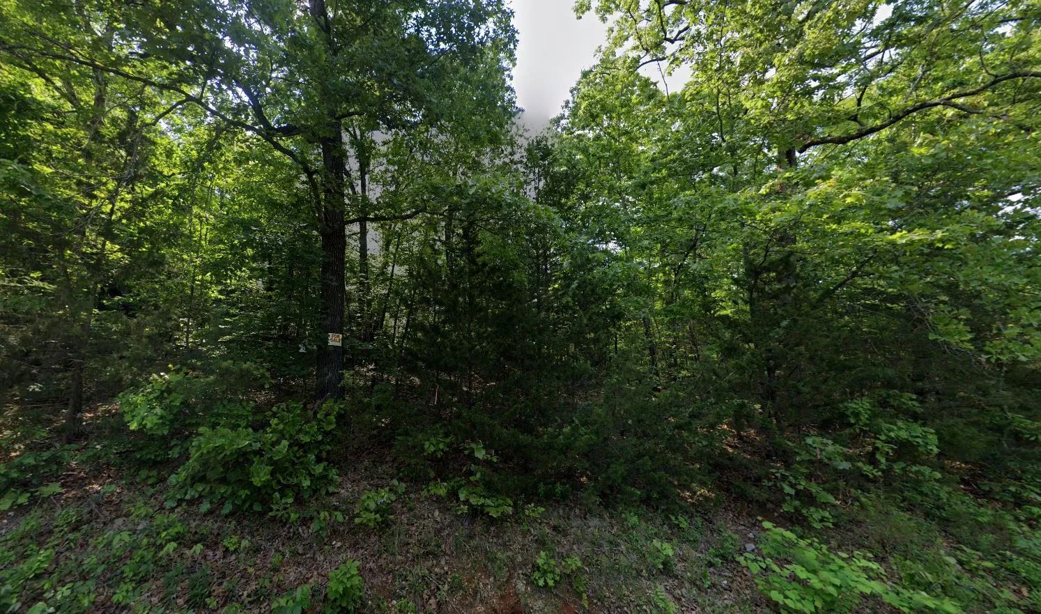 0.21 Acres in Izard County in Izard County, AR