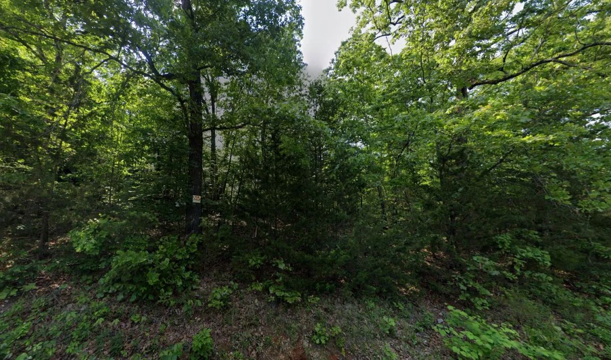 0.21 Acres in Izard County - Main image