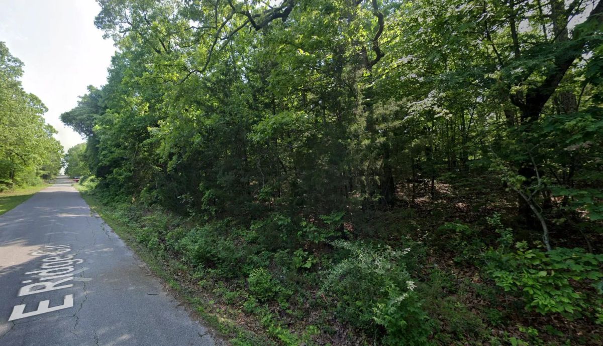 0.21 Acres in Izard County - Image 3