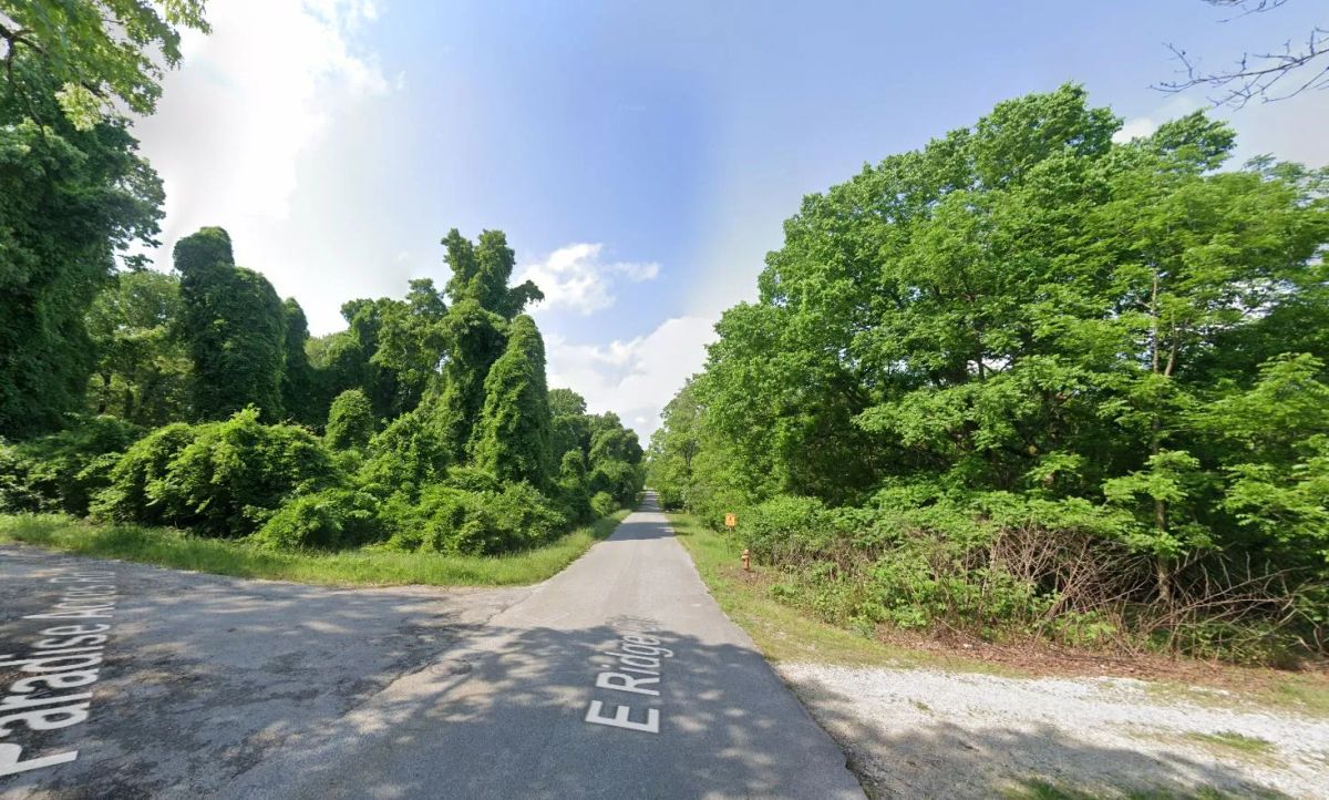 0.21 Acres in Izard County - Image 4