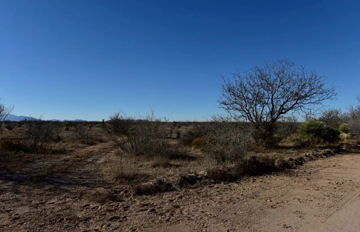 20 acres of unrestricted land and mountain views - Main image