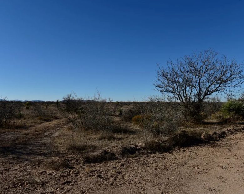 20 acres of unrestricted land and mountain views in Hudspeth County, TX
