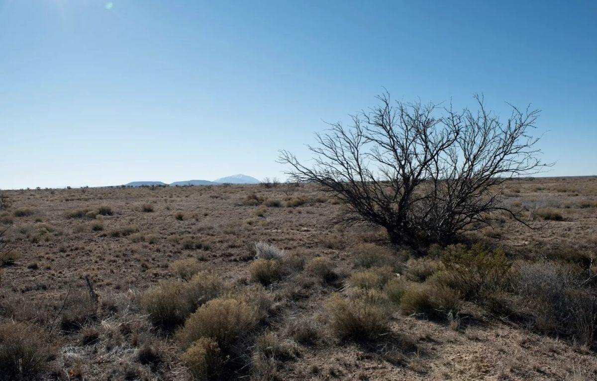 20 acres of unrestricted land and mountain views - Image 2