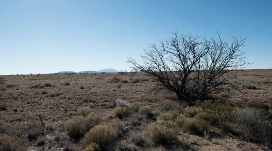 20 acres of unrestricted land and mountain views in Hudspeth County, TX