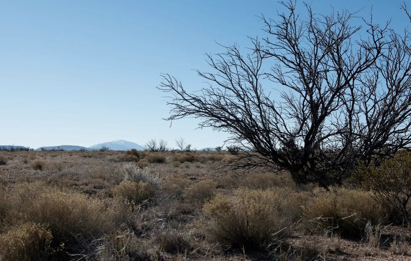 20 acres of unrestricted land  and mountain views in Hudspeth County, TX