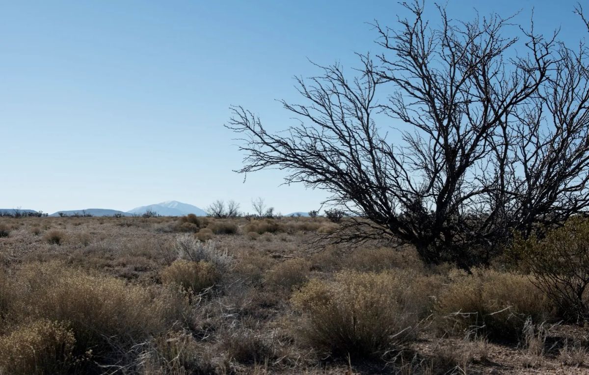 20 acres of unrestricted land and mountain views - Image 4