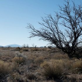 20 acres of unrestricted land and mountain views in Hudspeth County, TX