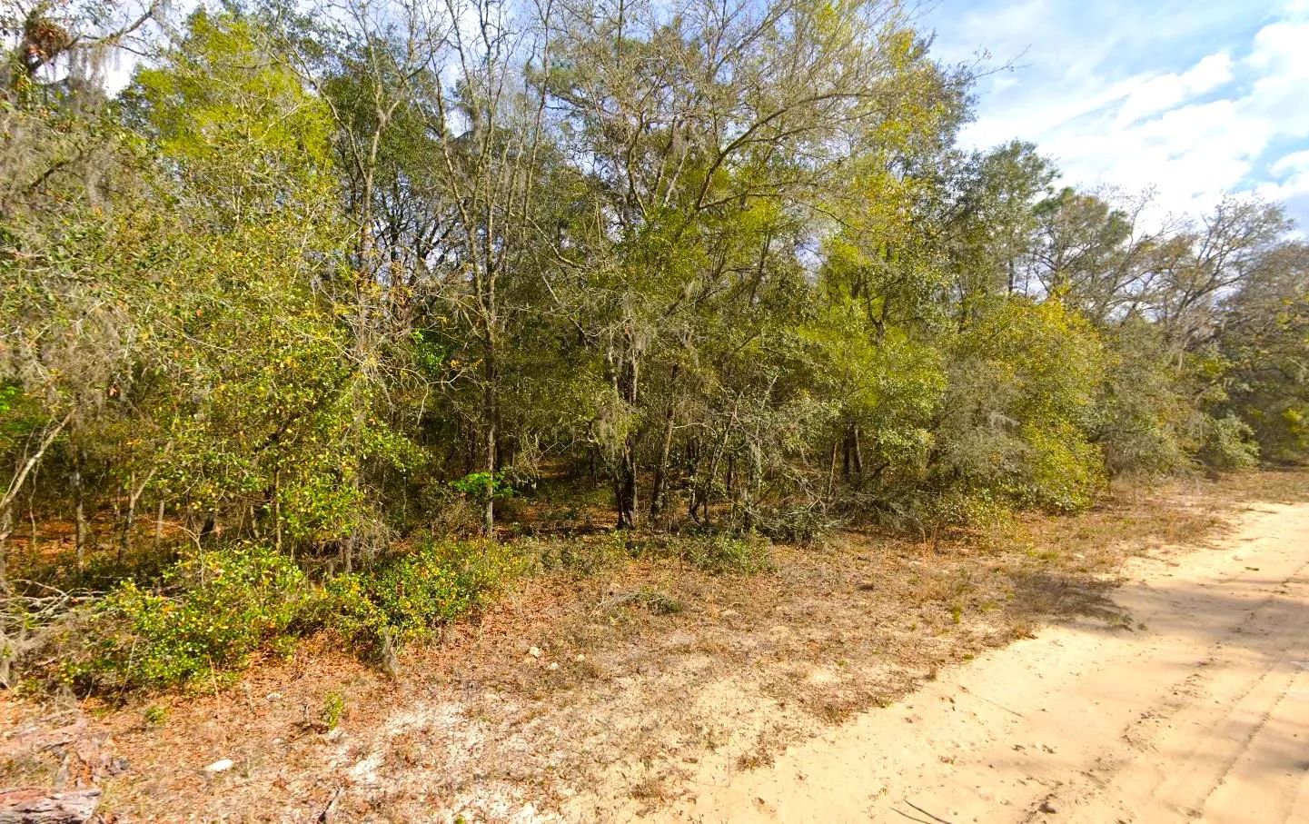 0.22 Acres Lot to Build Near Lakes, Mobile Home Allowed in Putnam County, FL