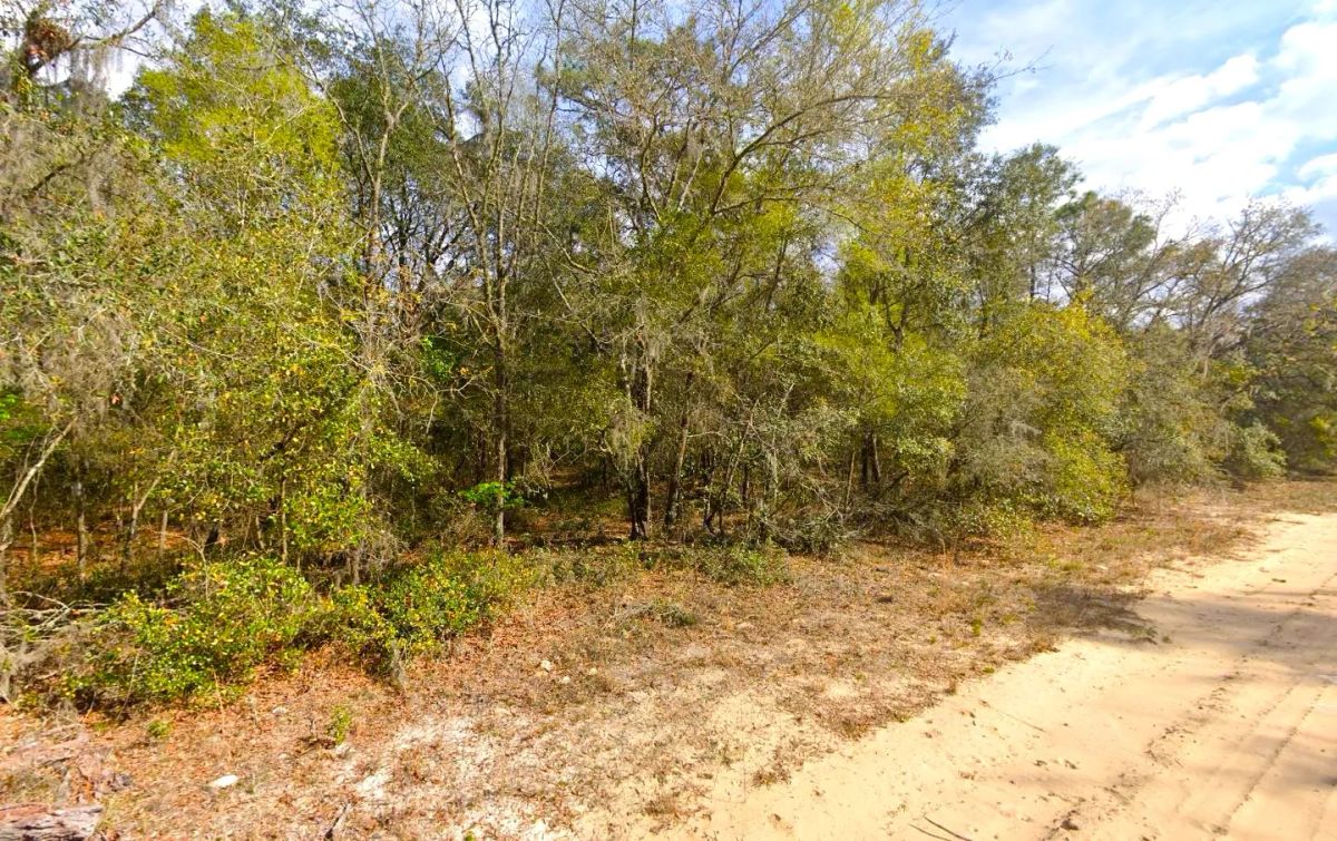 0.22 Acres Lot to Build Near Lakes, Mobile Home Allowed - Image 2