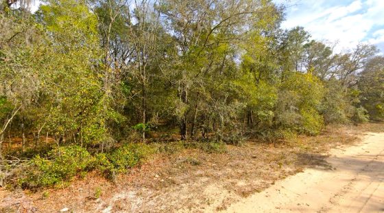 0.22 Acres Lot to Build Near Lakes, Mobile Home Allowed in Putnam County, FL