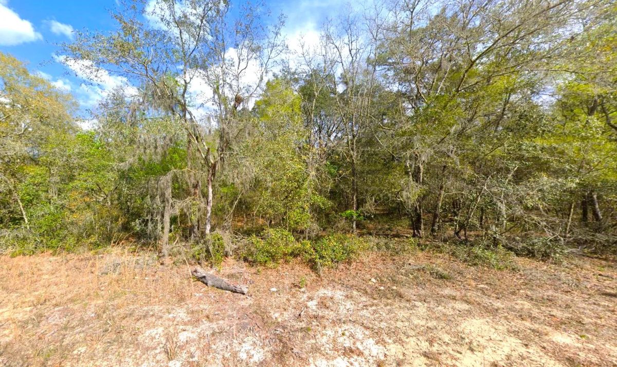 0.22 Acres Lot to Build Near Lakes, Mobile Home Allowed - Image 3