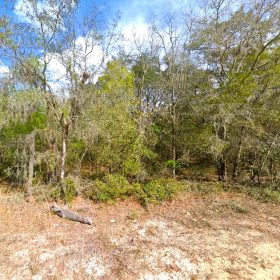 0.22 Acres Lot to Build Near Lakes, Mobile Home Allowed in Putnam County, FL