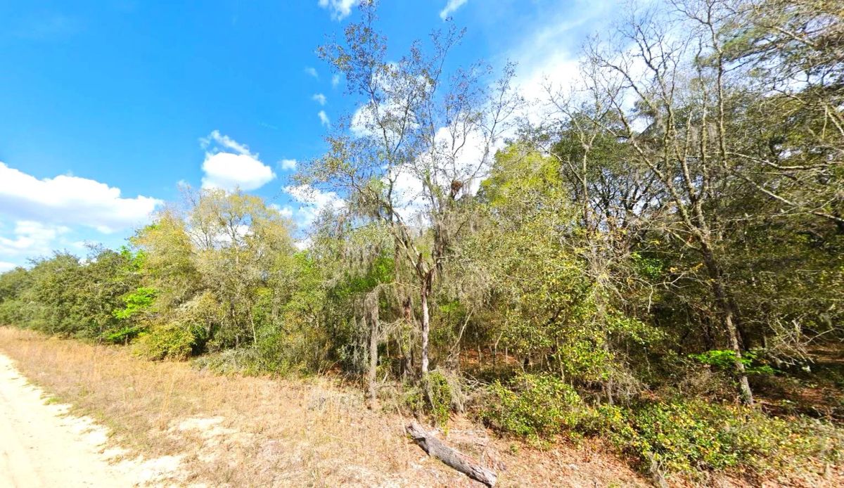 0.22 Acres Lot to Build Near Lakes, Mobile Home Allowed - Image 4