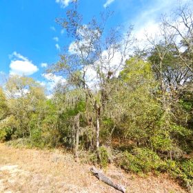 0.22 Acres Lot to Build Near Lakes, Mobile Home Allowed in Putnam County, FL