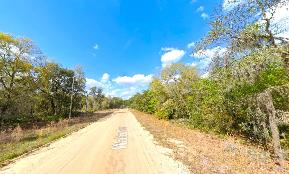 Decorative background for 0.22 Acres Lot to Build Near Lakes, Mobile Home Allowed image 5