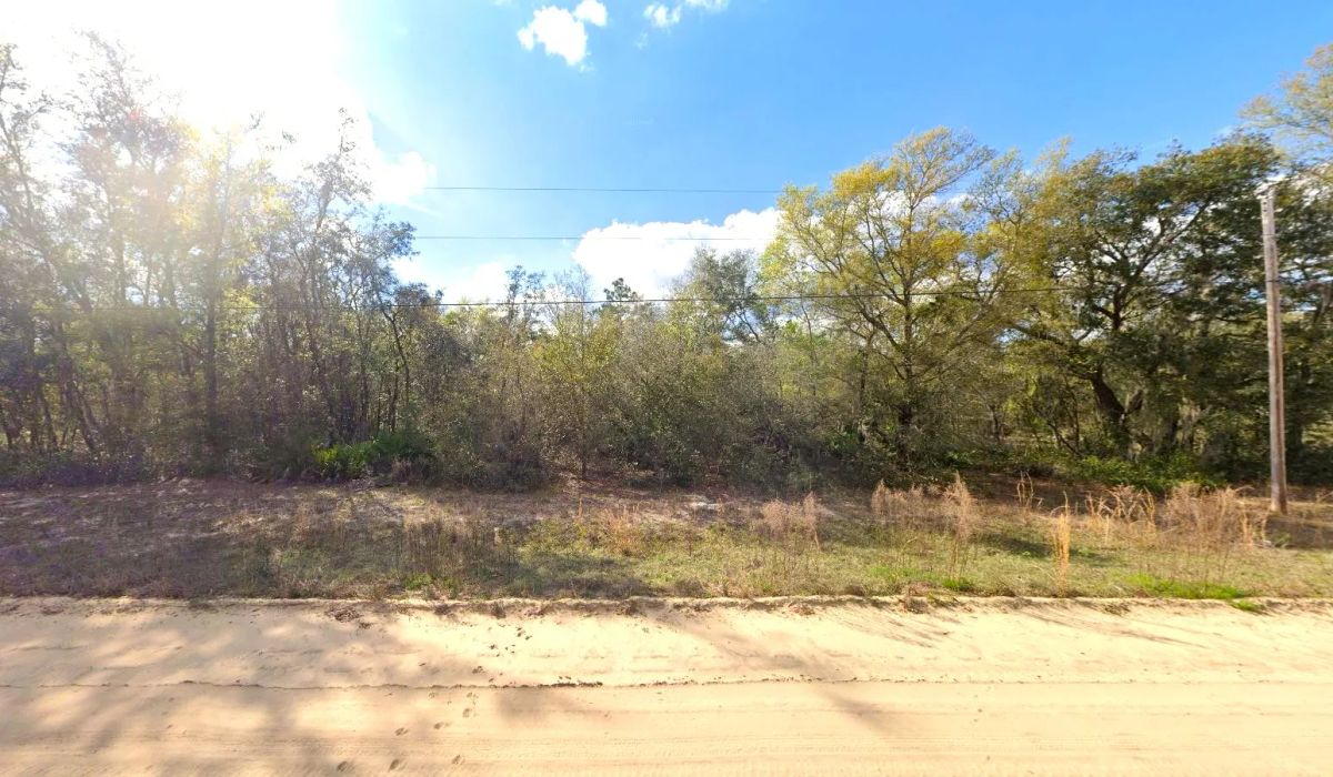 Decorative background for 0.22 Acres Lot to Build Near Lakes, Mobile Home Allowed image 6