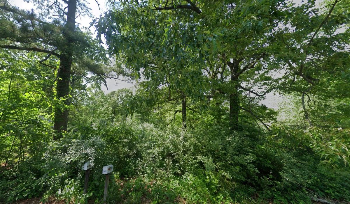 0.21 Acres Lot in Izard County - Image 2