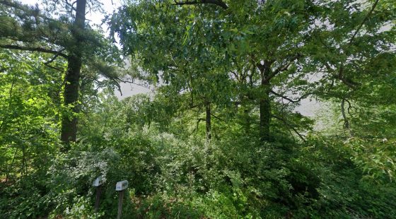 0.21 Acres Lot in Izard County in Izard County, AR