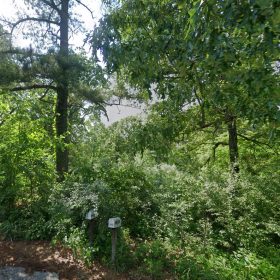 0.21 Acres Lot in Izard County in Izard County, AR