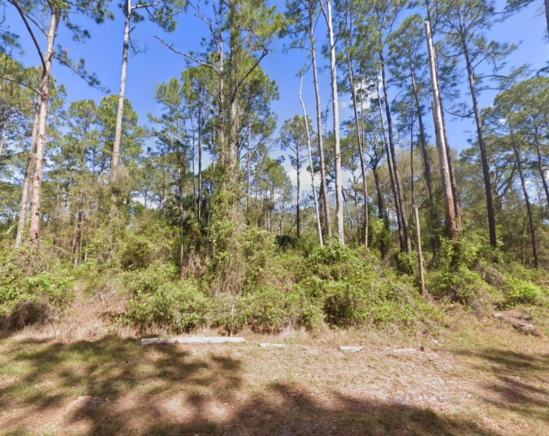 0.26-Acre Lot to Build or Mobile Homes Close to Lake George in Putnam County, FL