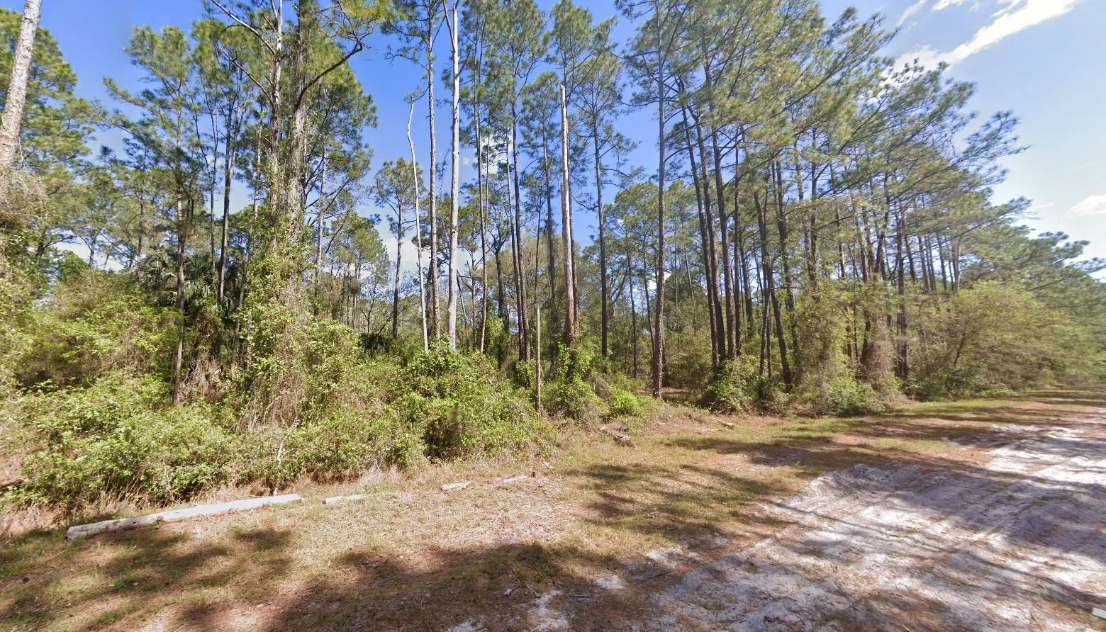 0.26-Acre Lot to Build or Mobile Homes Close to Lake George in Putnam County, FL