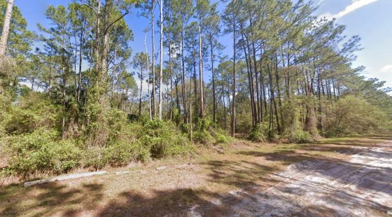0.26-Acre Lot to Build or Mobile Homes Close to Lake George in Putnam County, FL